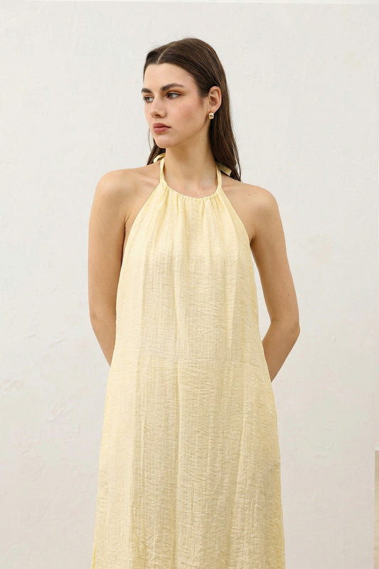 Antioch Backless Strapless Women's Dress