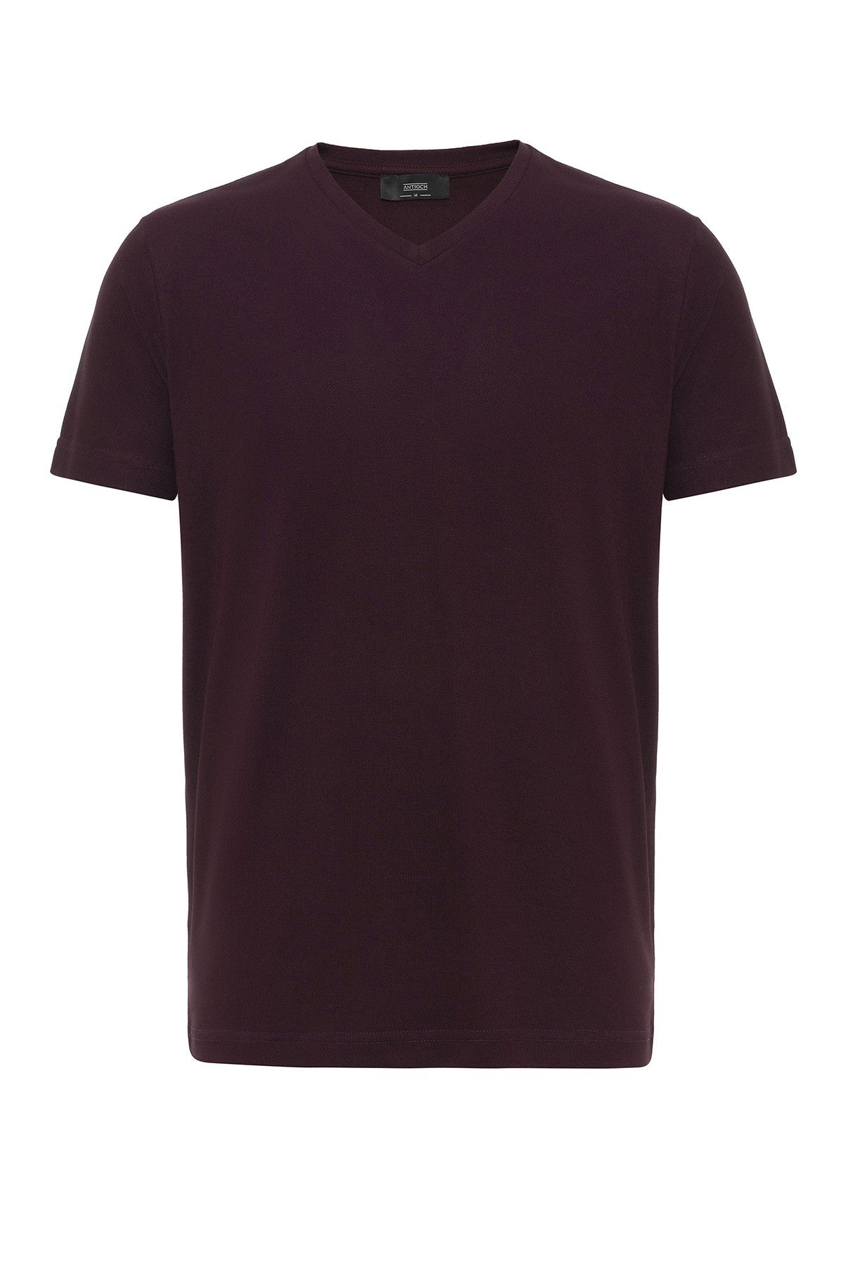 Antioch Basic V-Neck Men's T-Shirt