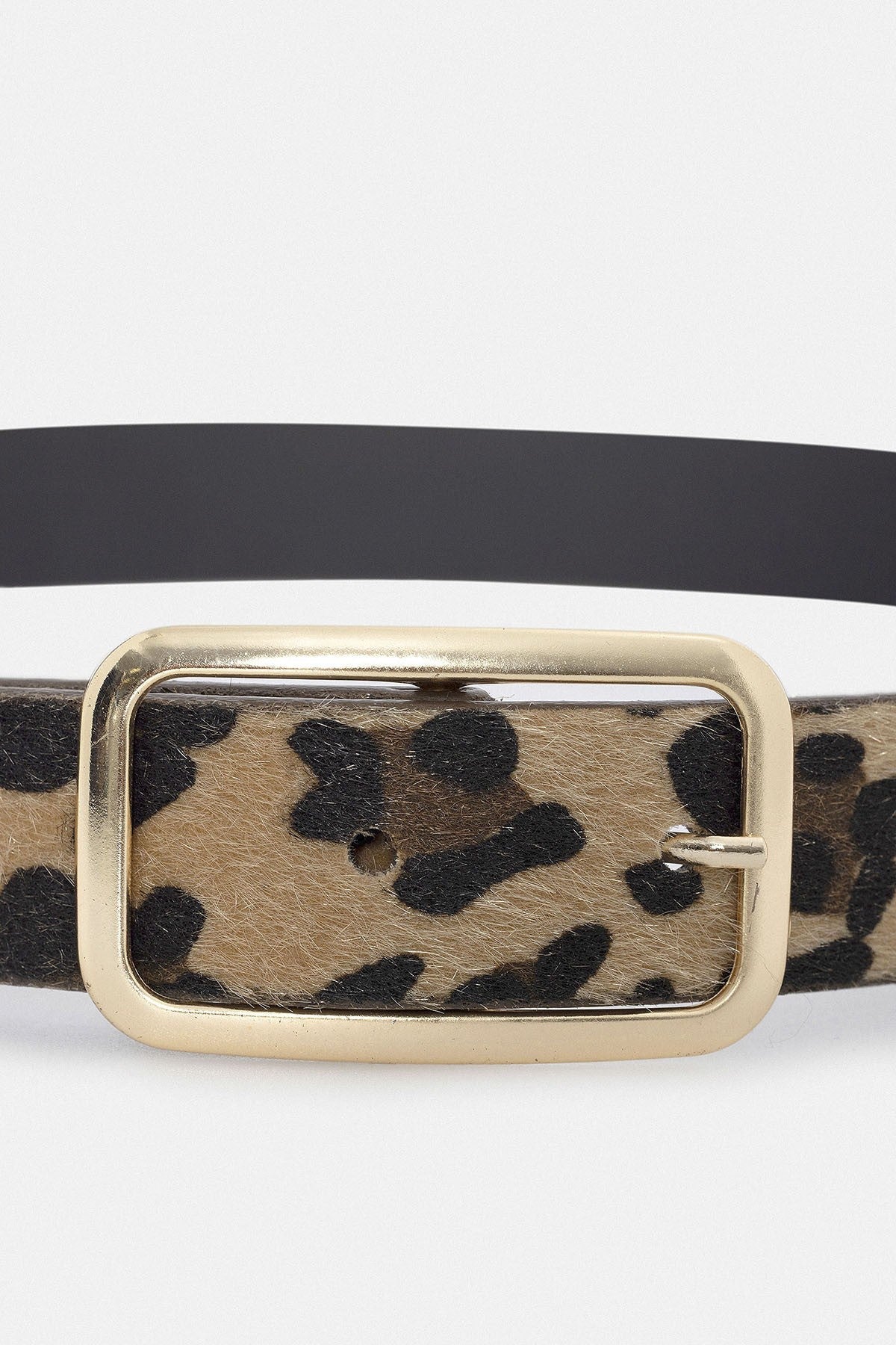 Antioch Leopard-Print Faux Leather Women's Belt