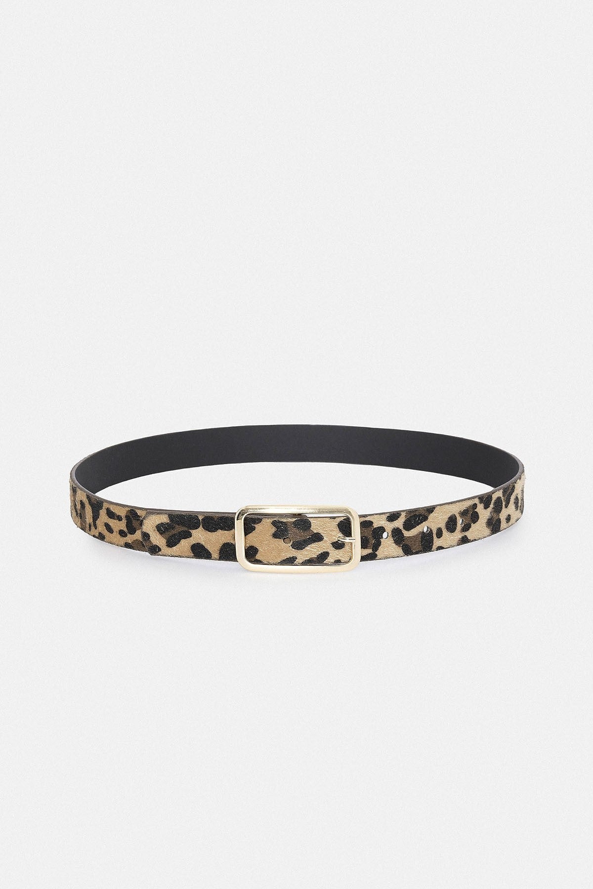 Antioch Leopard-Print Faux Leather Women's Belt