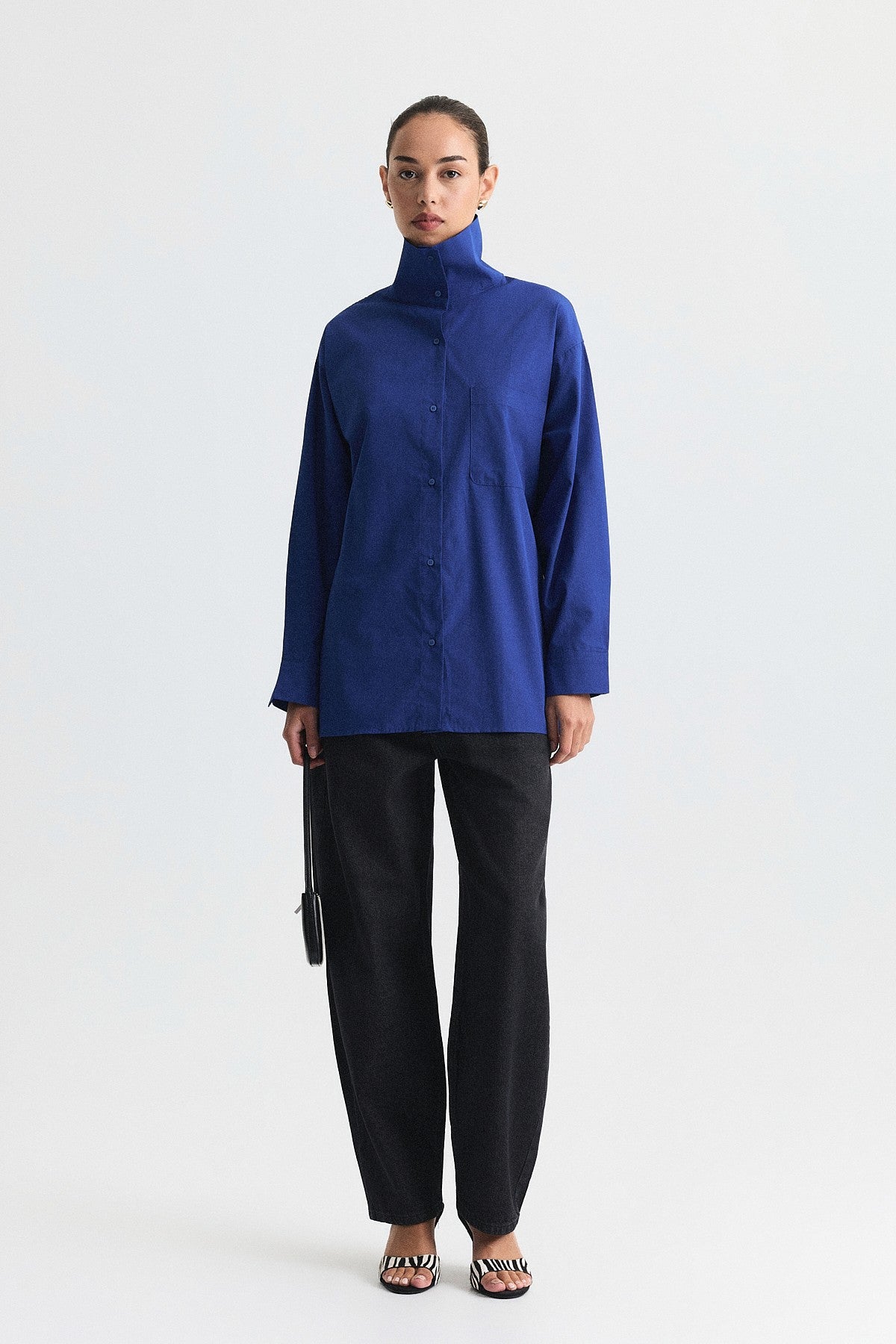 Shirt with a Collar and a Stand-Up Collar