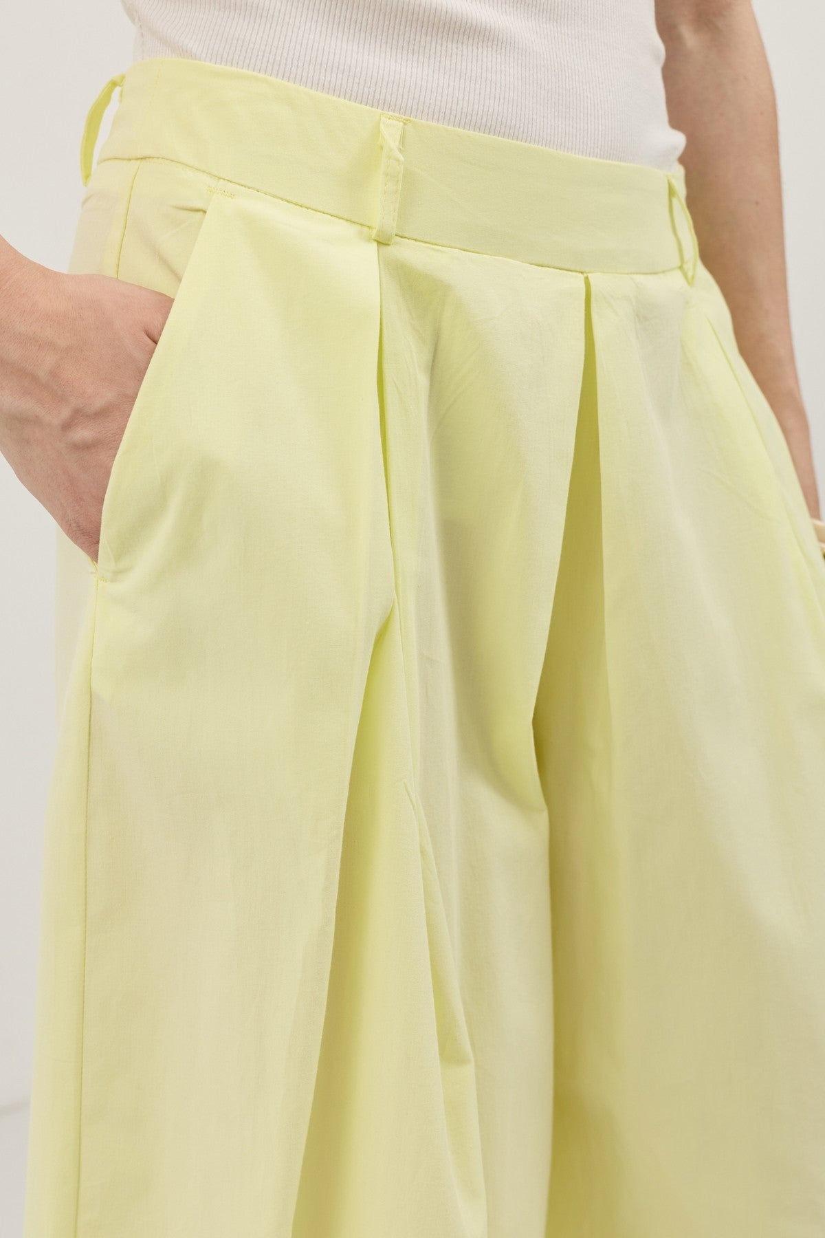 Antioch Pleated Culottes